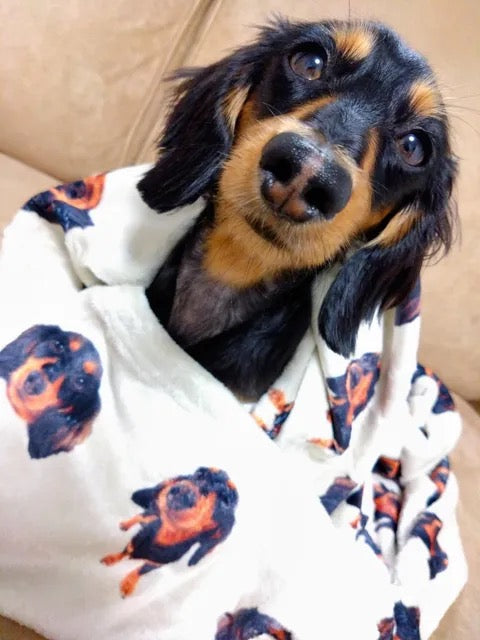 【カニンヘンダックス】ブランケット | お誕生日の記念に、自分に包まれて(フェイちゃん)