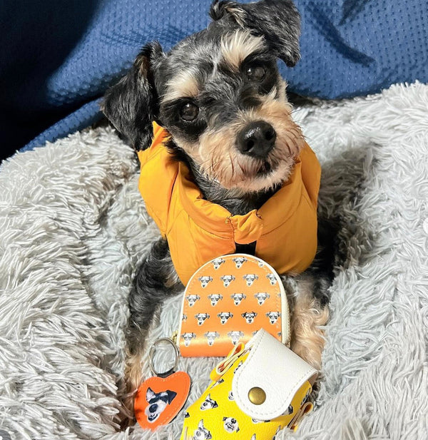 【シュナプー】本革コインケース | ご主人さまのお誕生日に、ゴルフボールケースとおそろいで(くうちゃん)