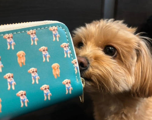 【ポメプー】本革スマートキーケース | 最近と小さい頃の2枚で、2年使い続けて(ラテくん)