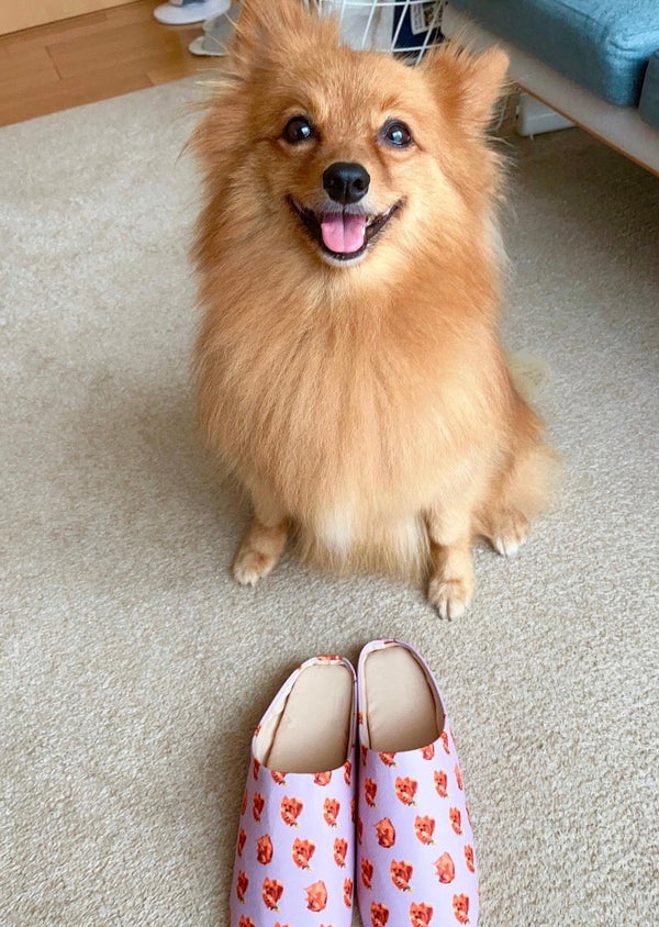 【ポメラニアン】ルームシューズ | おうちでポコさんまみれ、9点そろえて(ポコさん)