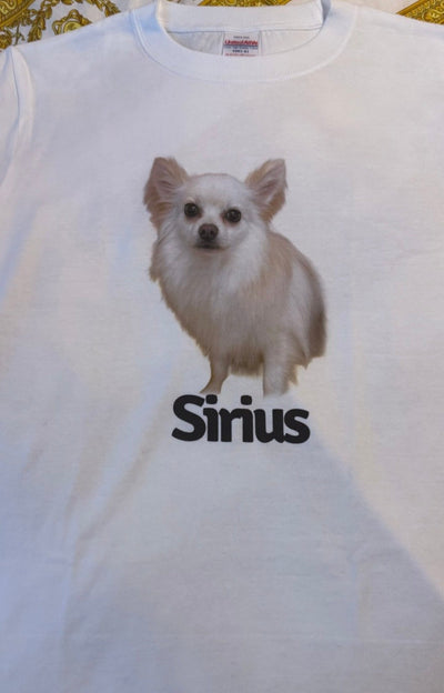 東京の工房の専任デザイナーが写真からデザインした チワワ シリウスくんのTシャツとショートパンツ