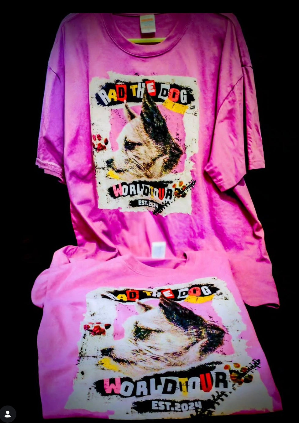 東京の工房の専任デザイナーが写真からデザインした チワジャック RADちゃんのバンドTシャツ ご自分へのご褒美・ギフト制作事例