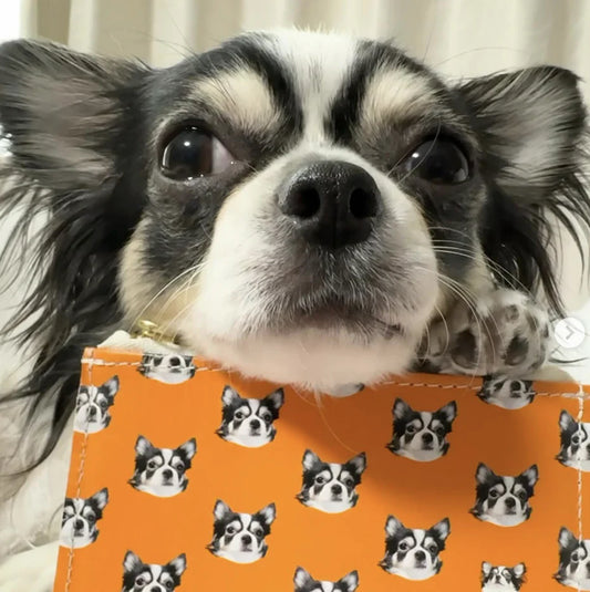 2025年11月 お客さまの声