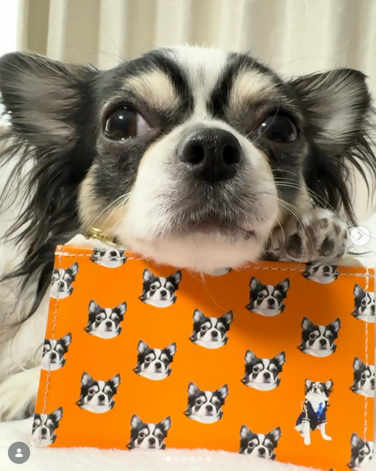 東京の工房で生地から縫製 専任デザイナー仕立て ロングコートチワワ にかちゃんの本革フラグメントケース 自分用制作事例