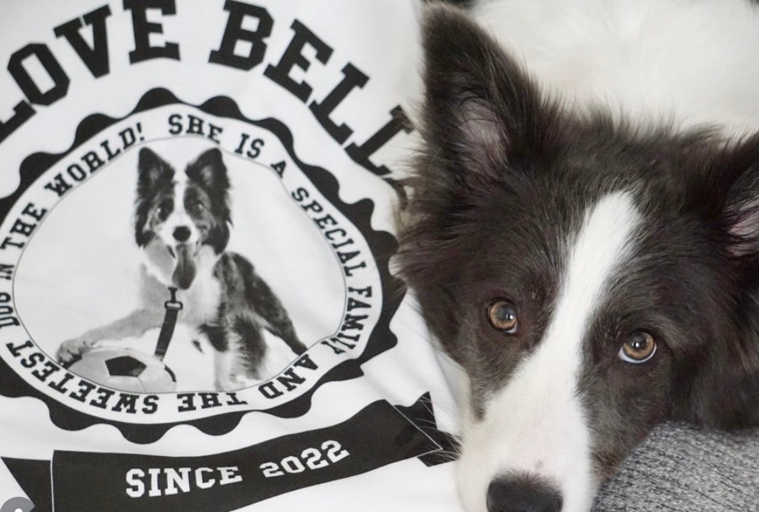 東京の工房の専任デザイナーが写真からデザインした ボーダーコリー BELLEちゃんのラグランTシャツ