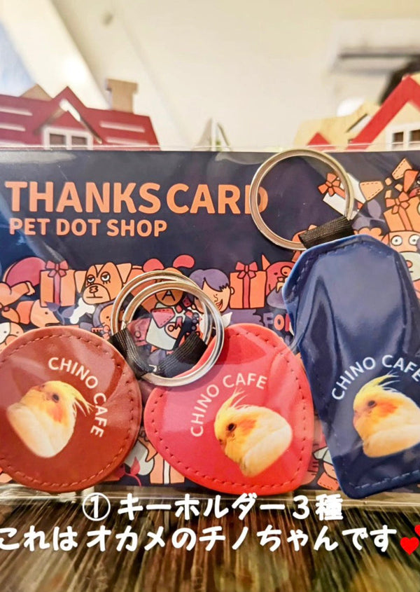 【オカメインコ×マメルリハインコ×ボタンインコ】キーホルダーセット | 頑張った自分へのバースデープレゼントに（チノちゃん・マメちゃん・くぅちゃん）