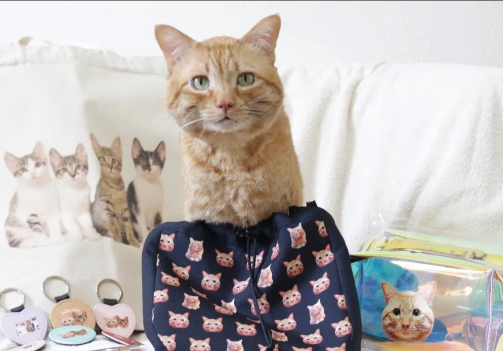 東京の工房の専任デザイナーが写真からデザインした 茶トラ 福ちゃんの巾着ショルダーバッグ