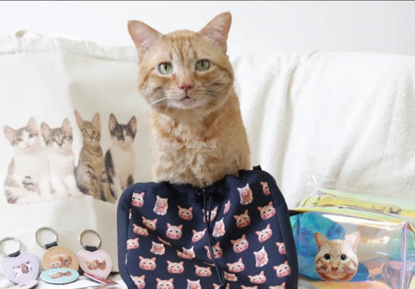 【茶トラ】巾着ショルダーバッグ | 猫のイベントと普段のおでかけに、ご自分用で（福ちゃん）