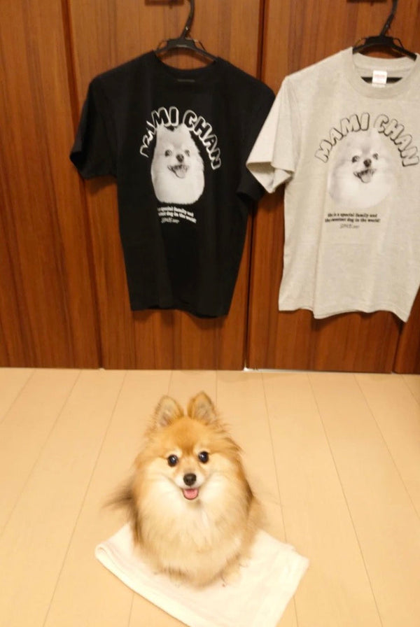 【ポメラニアン】ヴィンテージTシャツ | お散歩とお部屋着に、2枚そろえて（まみちゃん）