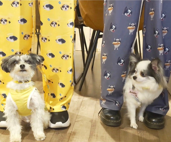 【雑種】パジャマパンツ | 行きつけのカフェと犬のトレーニングに、ご自分用で（みろくん）
