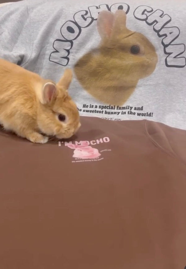 【ネザーランドドワーフ】ヴィンテージスウェット | 飼い主さんのお誕生日プレゼントに（もちょくん）