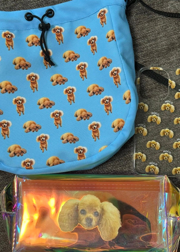 【トイプードル】巾着ショルダーバッグ | お散歩のお供に、バッグの買い替えで（モコちゃん）