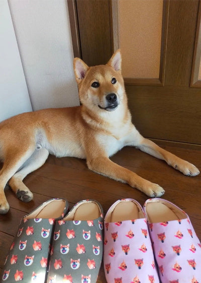 東京の工房の専任デザイナーが写真からデザインした 柴犬 ムギくんのルームシューズ