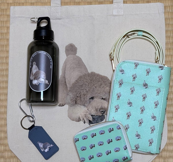 【シルバートイプー】お財布ショルダーバッグ | 自分へのご褒美に！ずっと欲しかったうちの子グッズをミントで2点（空ちゃん）
