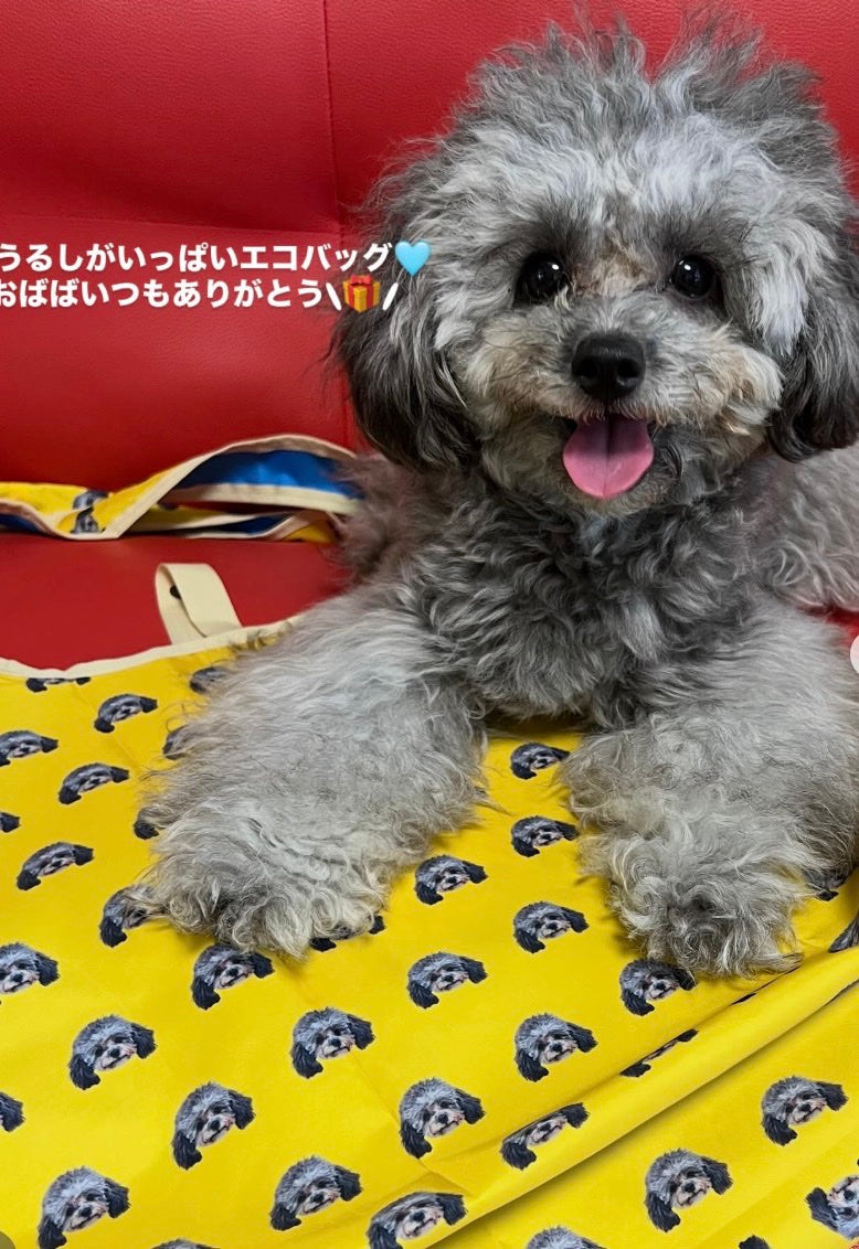 東京の工房の専任デザイナーが写真からデザインした トイプードル うるしちゃんのエコバッグ