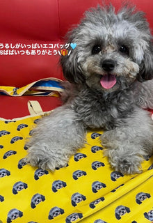 うるしちゃん