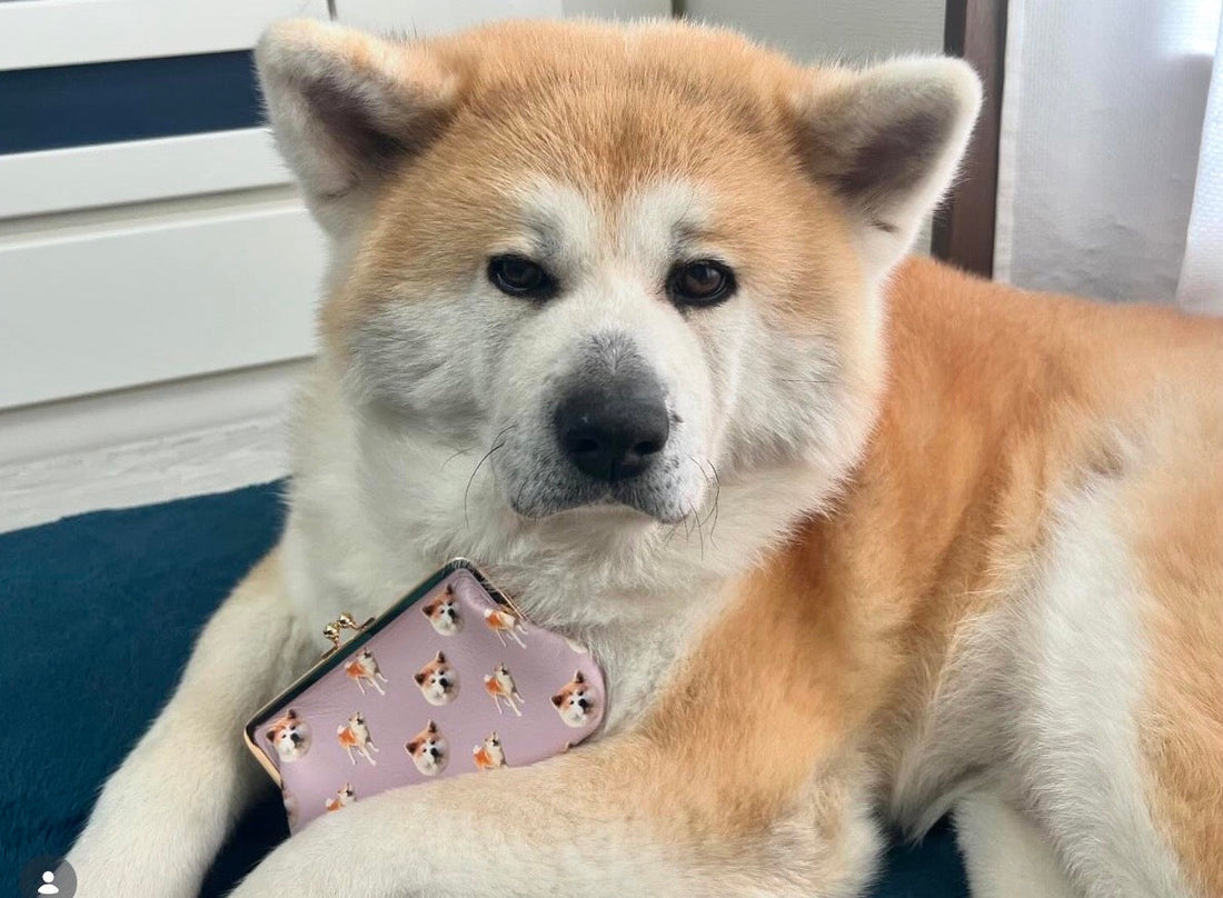 東京の工房の専任デザイナーが写真からデザインした 秋田犬 わっくんの本革がま口小銭入れ