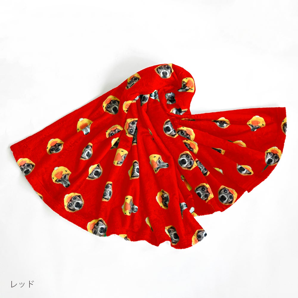 blanket