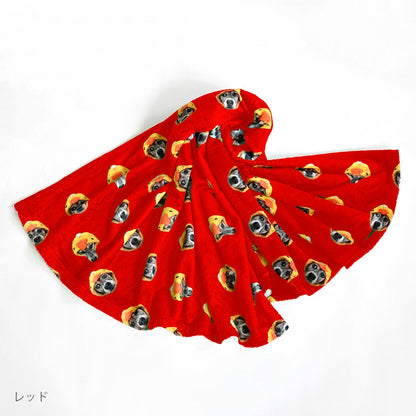 blanket