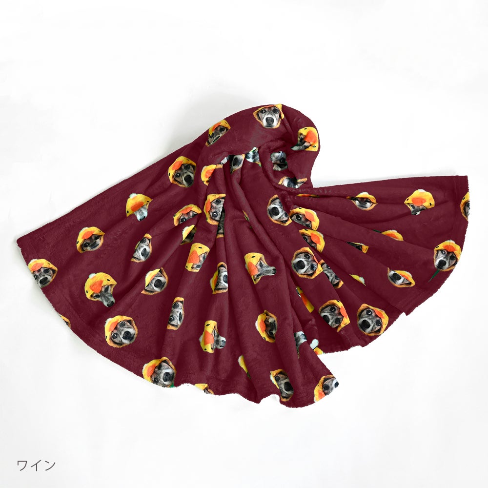 blanket
