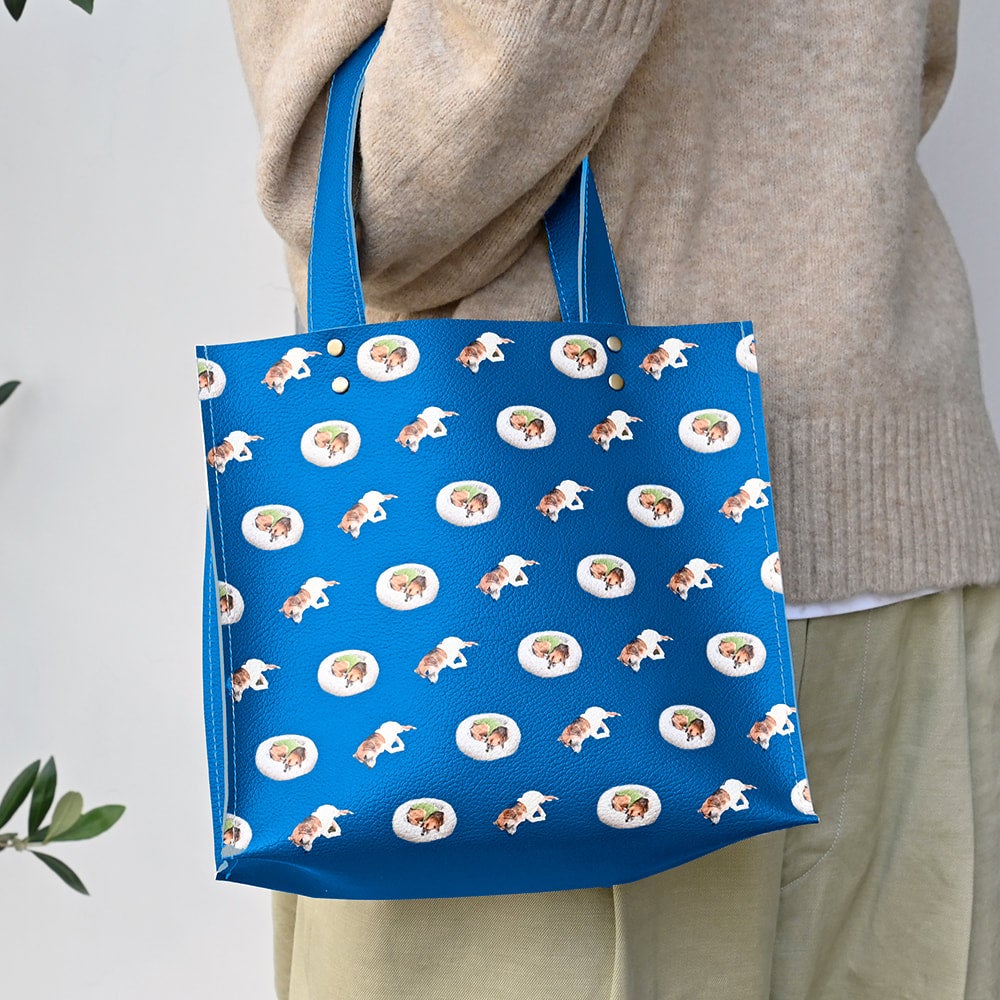Walking bag