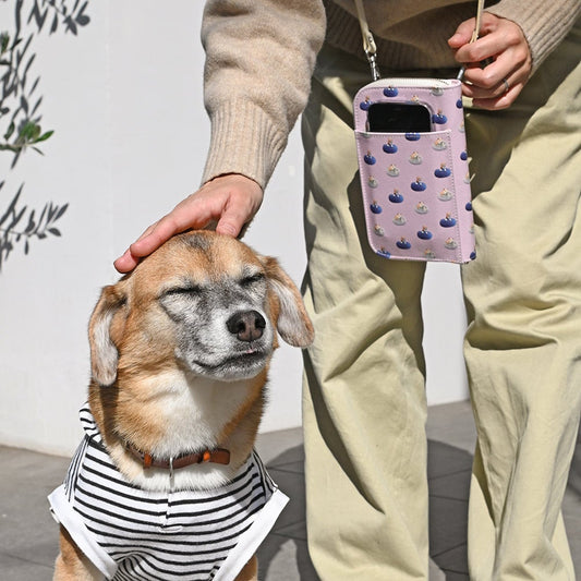 お財布ショルダーバッグ