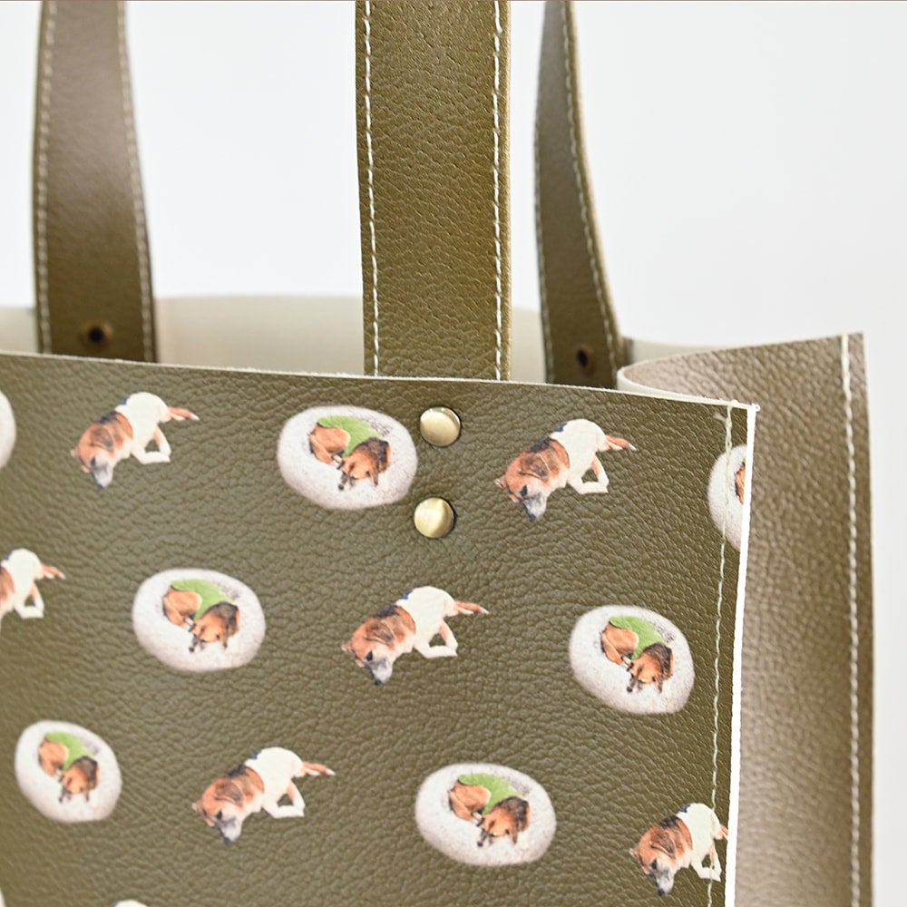 Walking bag