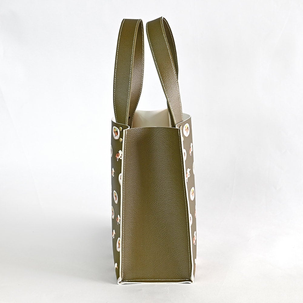 Walking bag