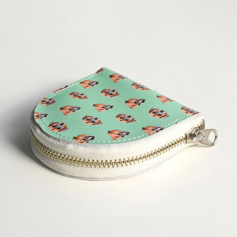 Coin case