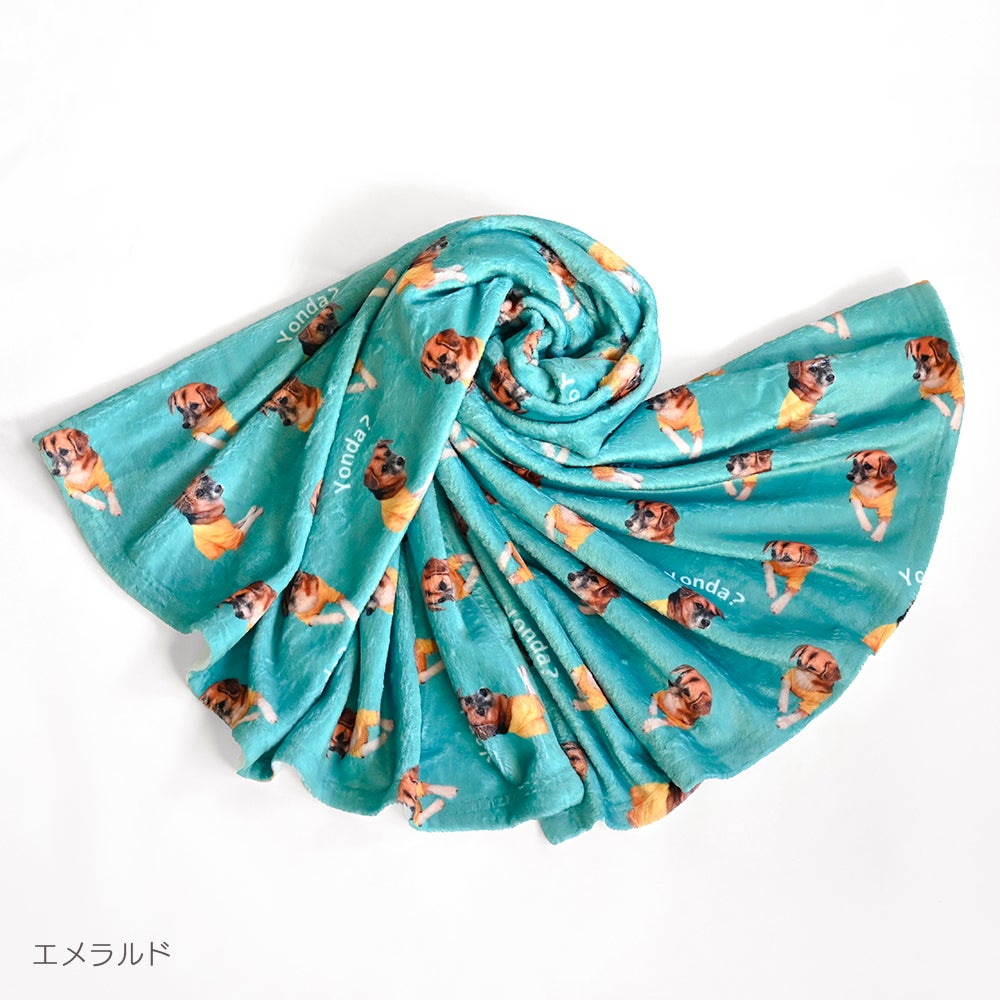 blanket