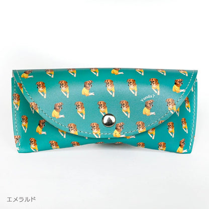 Glasses case