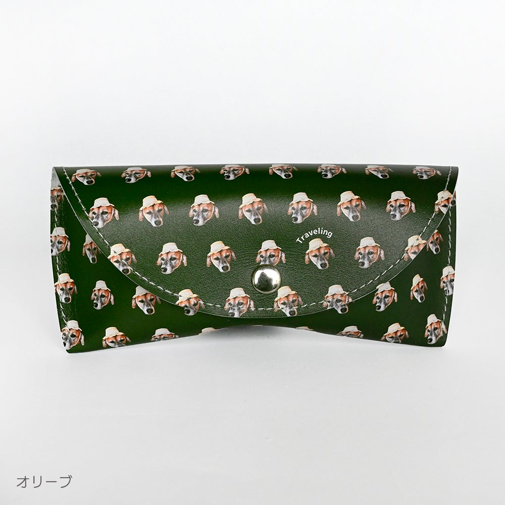 Glasses case
