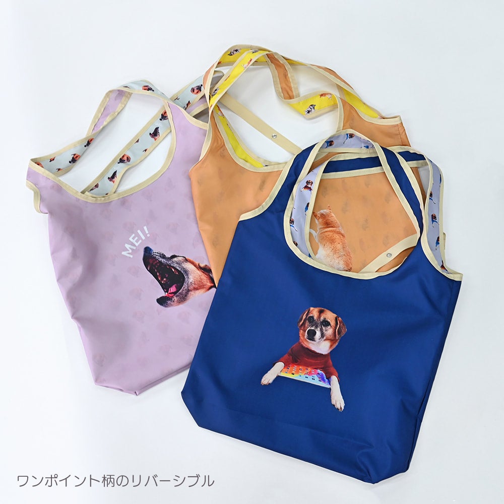 eco bag