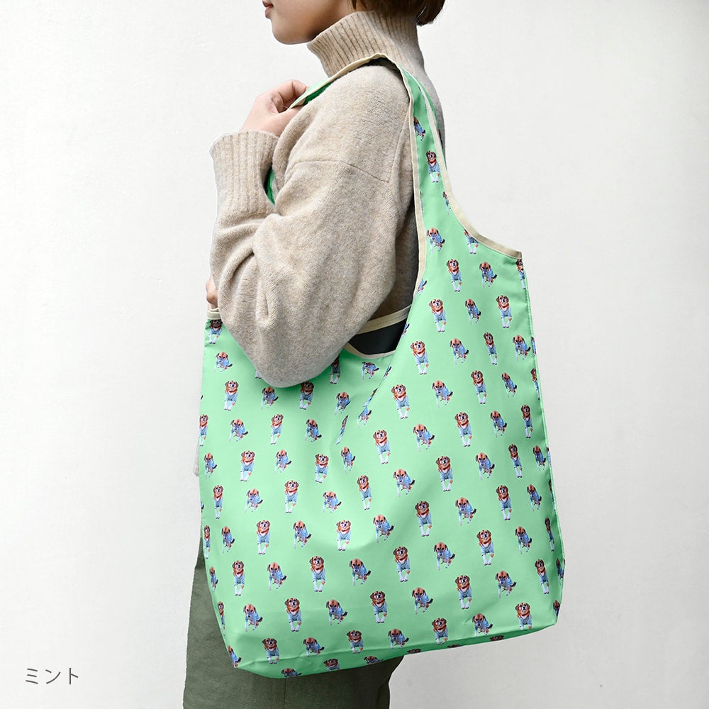 eco bag