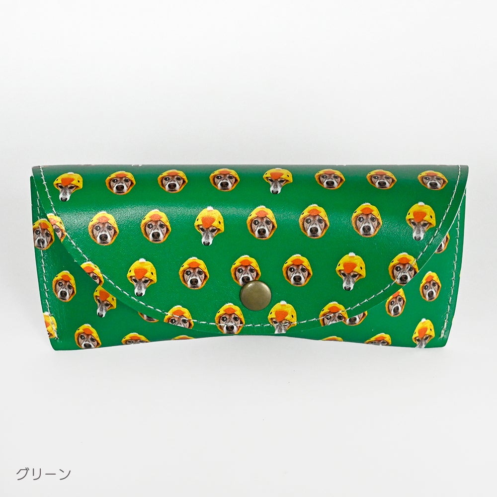 Glasses case