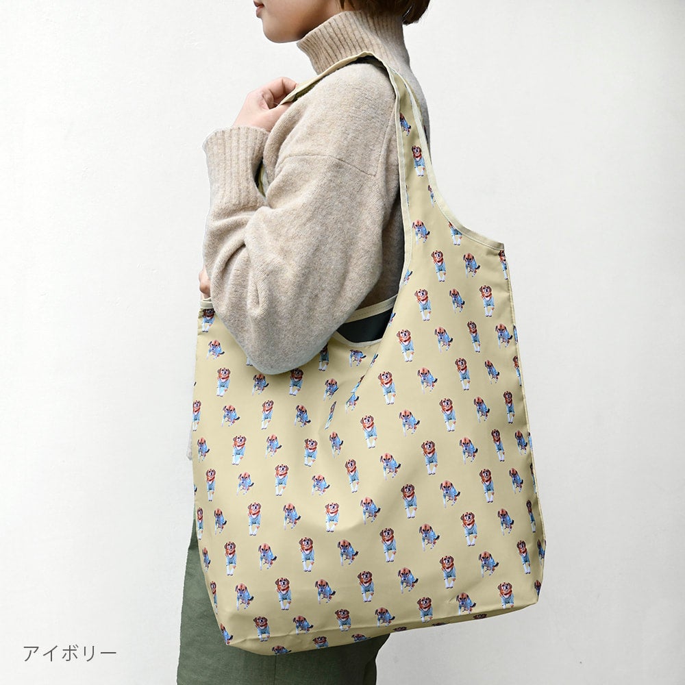 eco bag