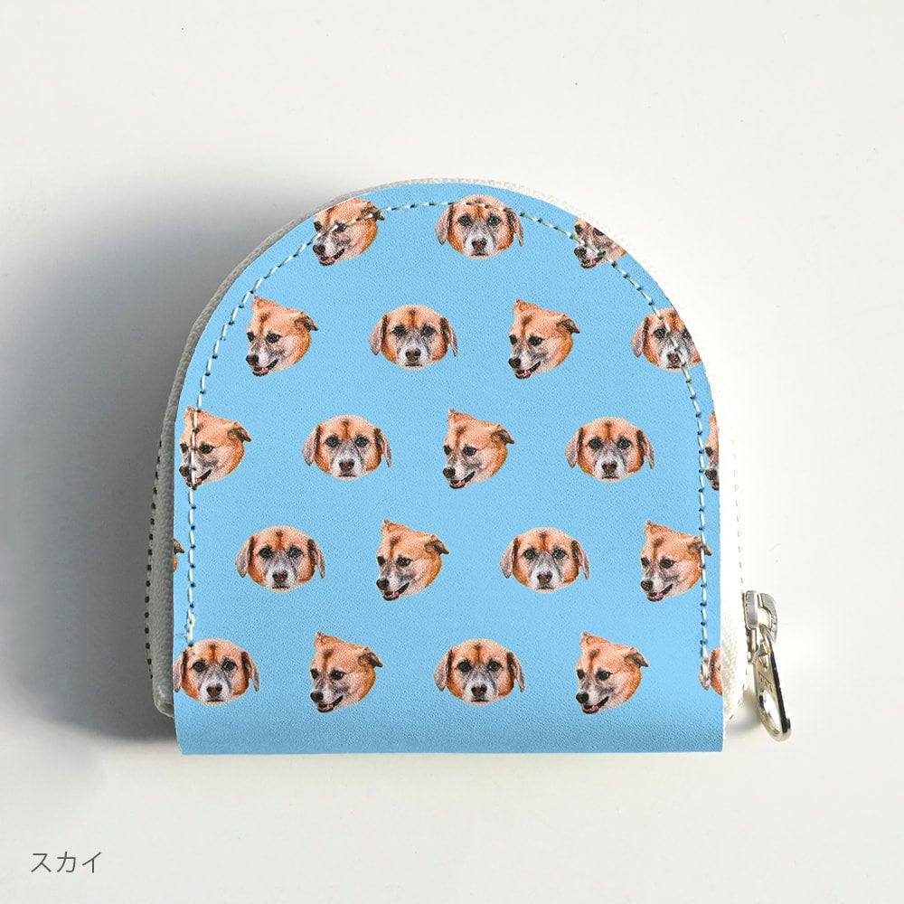 Coin case