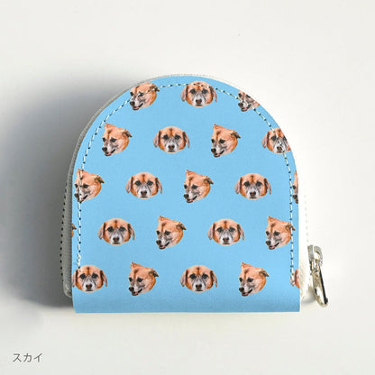 Coin case