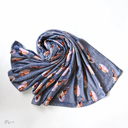 blanket