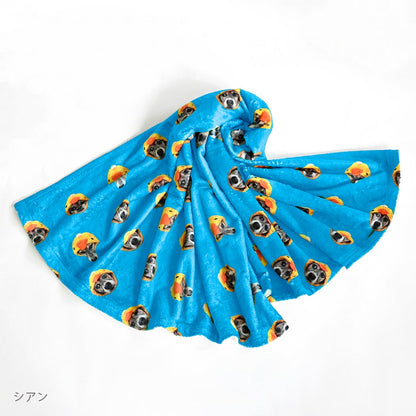 blanket