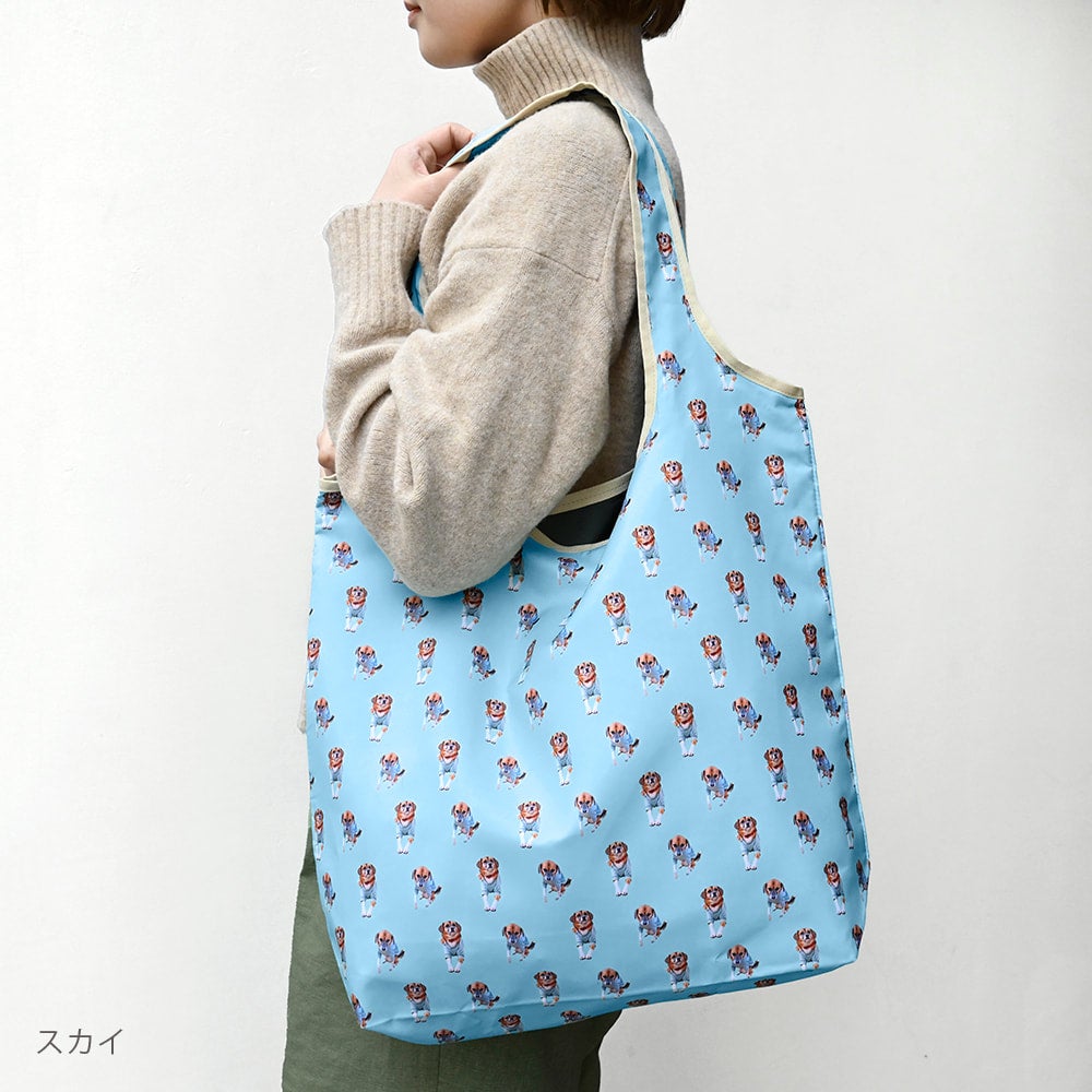eco bag