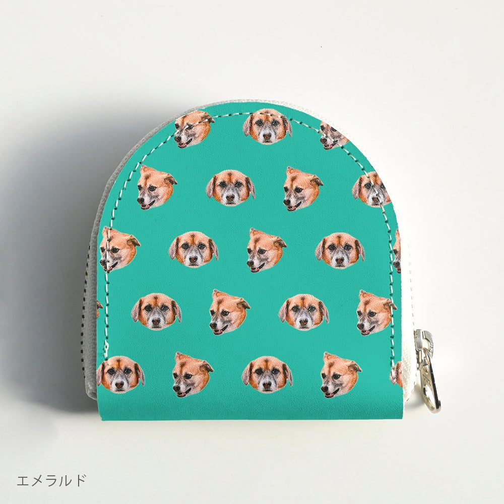 Coin case