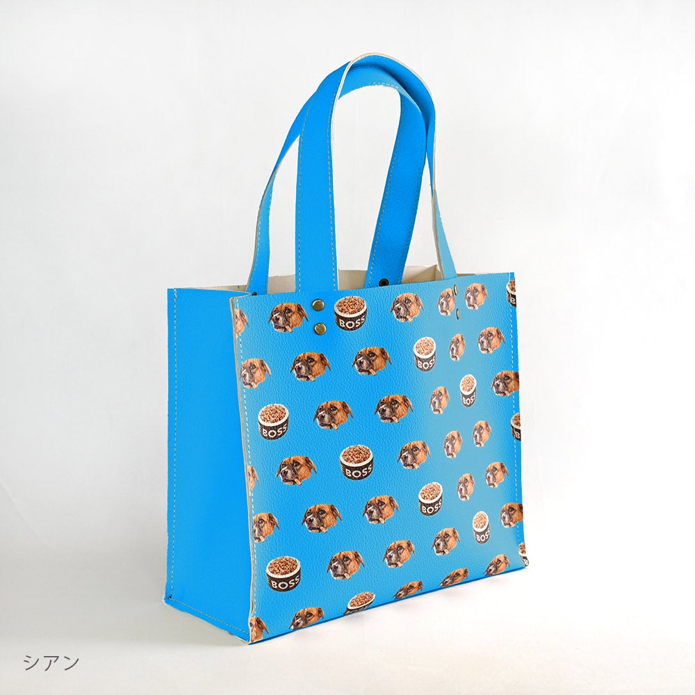 Walking bag