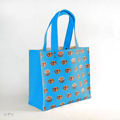 Walking bag