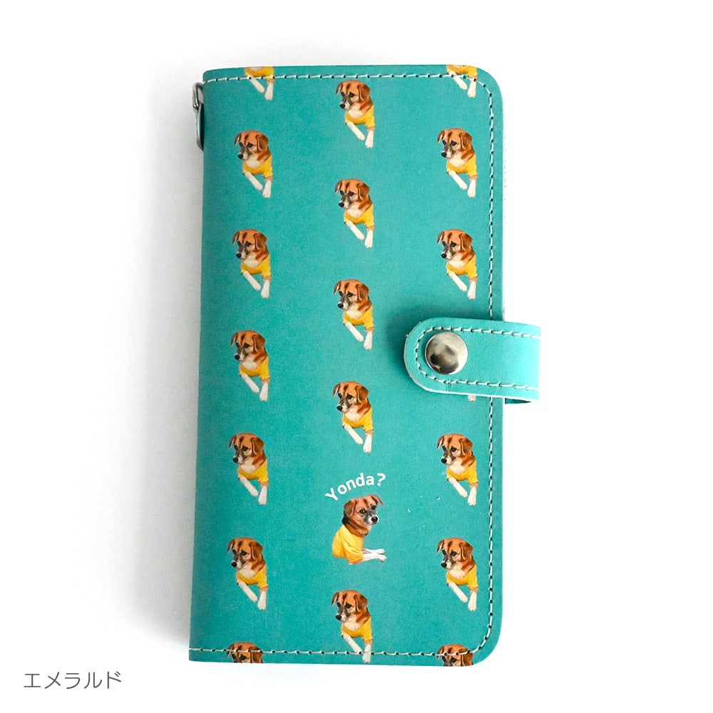 Smartphone case