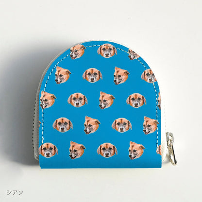 Coin case