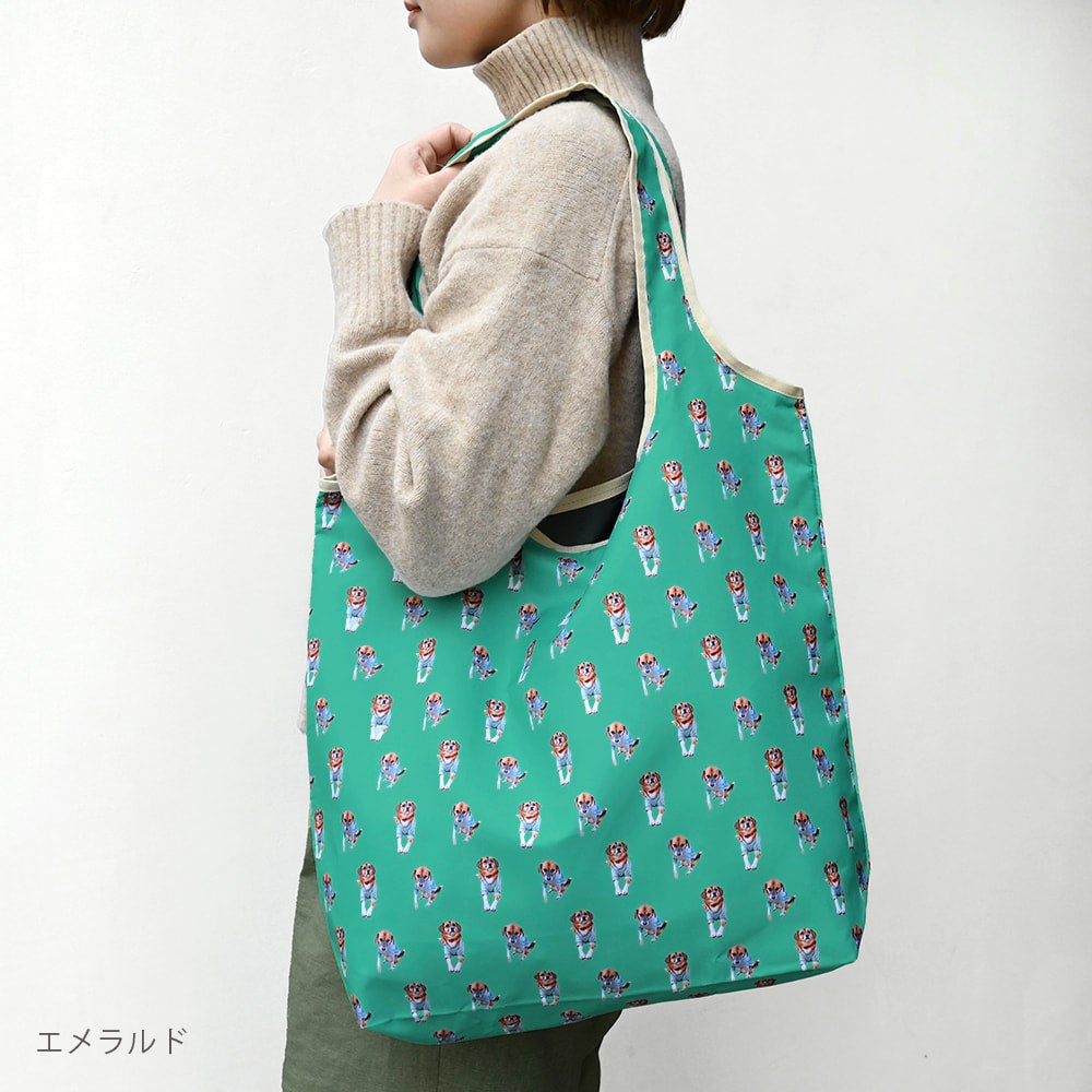 eco bag