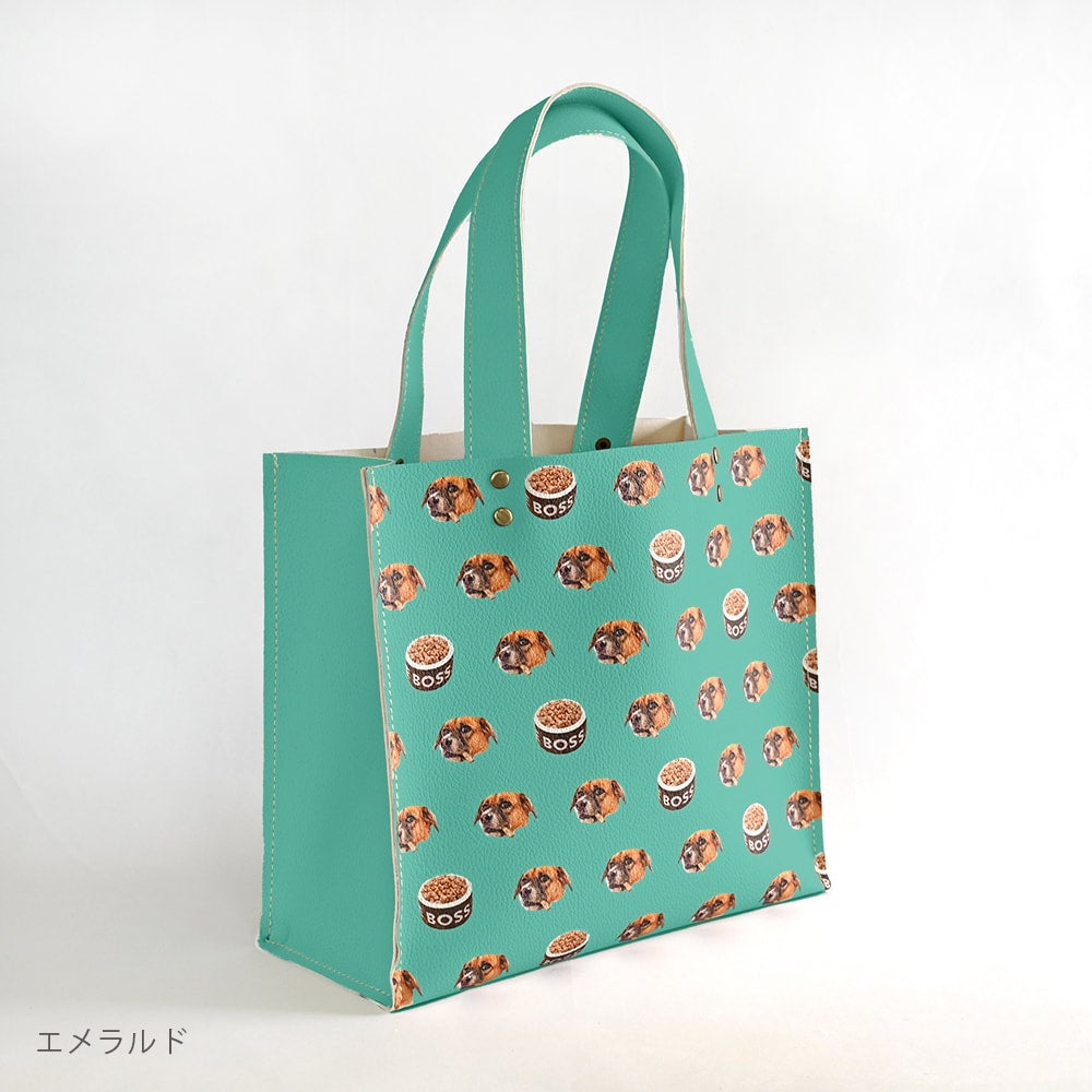 Walking bag