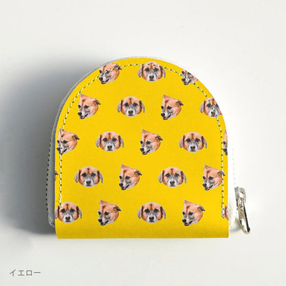Coin case