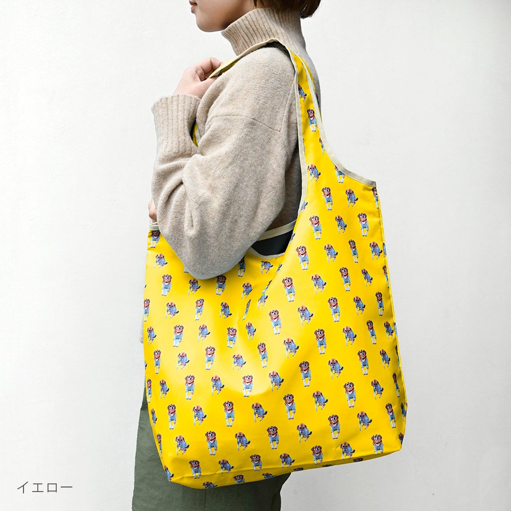 eco bag
